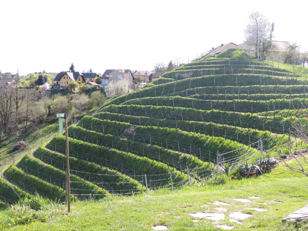 Weingut Albert, Familie Cramer Kitzeck im Sausal Zewnętrze zdjęcie