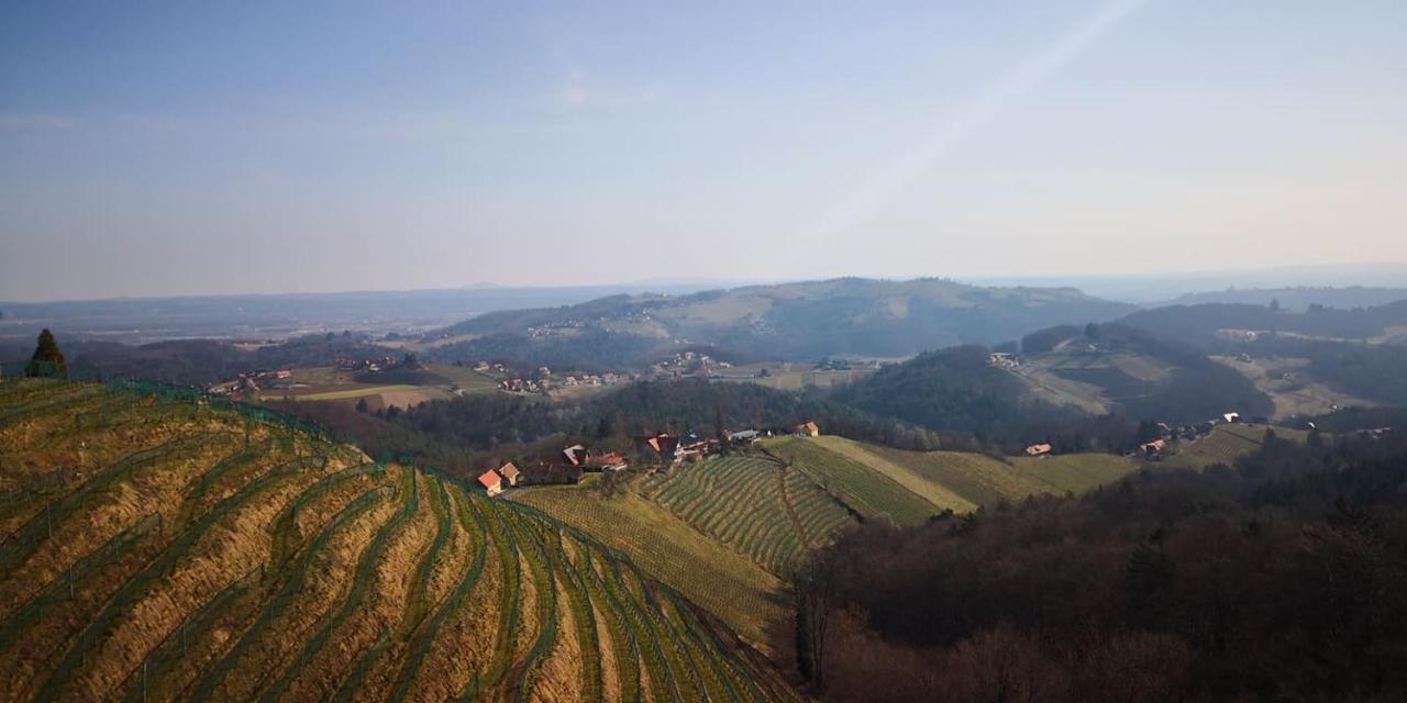 Weingut Albert, Familie Cramer Kitzeck im Sausal Zewnętrze zdjęcie
