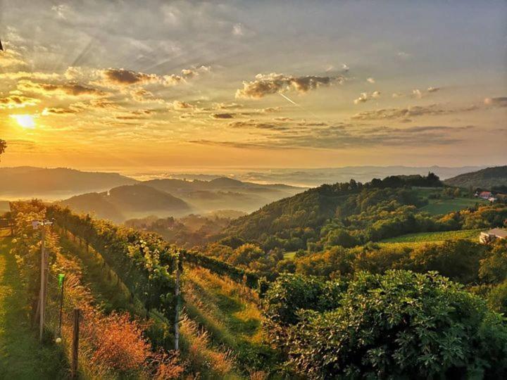 Weingut Albert, Familie Cramer Kitzeck im Sausal Zewnętrze zdjęcie